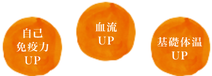 自己免疫力、血流、基礎体温UP